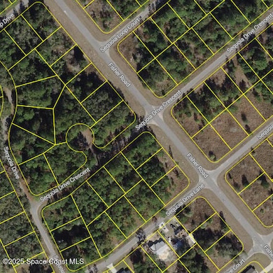 0 Sequoia Dr unit 1062677, Silver Springs, FL 34488 - photo 2