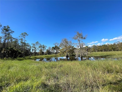 3570 Magnolia Trace, Labelle, FL 33935 - photo 2