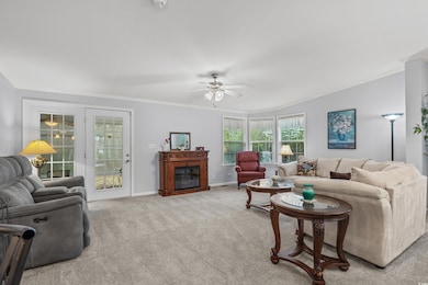 Carpeted living room with ornamental molding and c