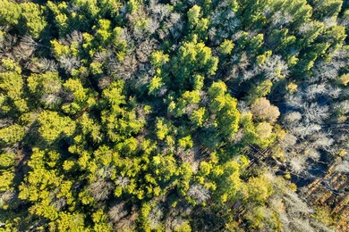 00 Borough Rd unit 1,2, Bristol, NH 03222 - photo 6