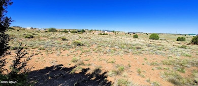 1190 Haystack Rd unit Lot 68, Taylor, AZ 85939 - photo 2