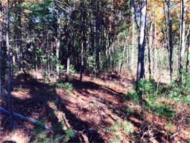 2 Alexander Way, Dunstable, MA 01827 - photo 6