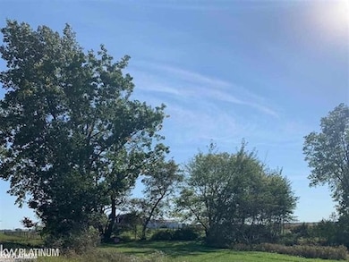 0 Cade C Rd, Brown City, MI 48416 - photo 2