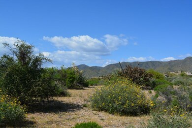 DSC_0007