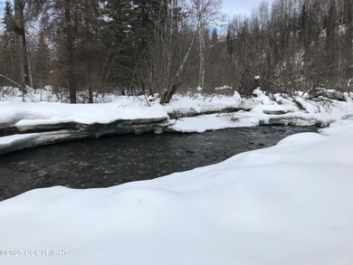 B50 Yarnot Ave, Anchorage, AK 99567 - photo 6