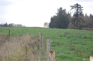 1434 Kelly Rd, Bellingham, WA 98226 - photo 6