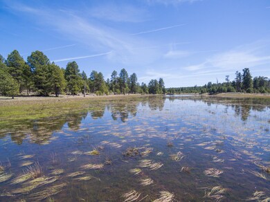 Tree Line at the Pond
