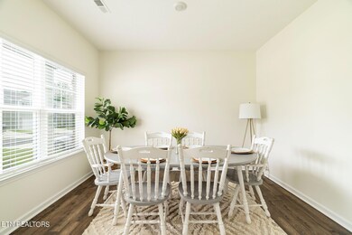 337 Hayley Marie Ln, Knoxville, TN 37920 - photo 3