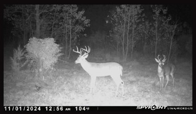 R29605 Landrum Rd, Lufkin, OK 74904 - photo 6