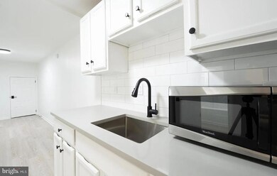 10 E Biddle St unit 3B, Baltimore, MD 21202 - photo 4