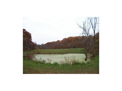 Pond & Lower Pasture View from the Deck