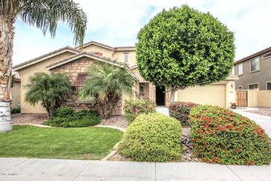 Hackberry-Front View