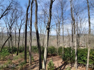 211 Secluded Hills Ln unit 12, Arden, NC 28704 - photo 2