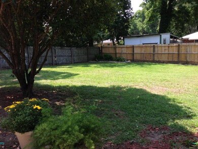 Back yard