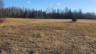 205 Crystal Rd, Crystal, ME 04747 - photo 3