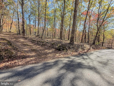 Adj 157 Thomas Rd, West St. Clair Township, PA 15521 - photo 3