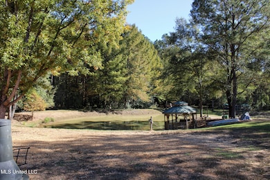 2108 Joel Lang Rd, McComb, MS 39648 - photo 6