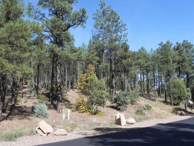 Lot 2 Pine Oaks 004