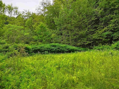 341 Seavers Brook Rd, Springfield, VT 05156 - photo 2