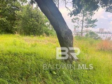 View of undeveloped land