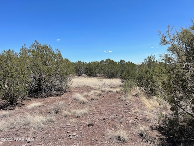 48225 N Steve Ln, Ash Fork, AZ 86320 - photo 4