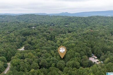 0 Penny Ln unit 21427542, Odenville, AL 35120 - photo 5