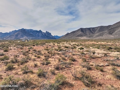 Tbd Foothills Rd unit C, Portal, AZ 85632 - photo 6