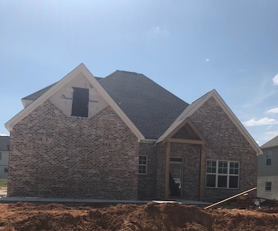 420 Elizabeth Ct, Oxford, MS 38655 - photo 7