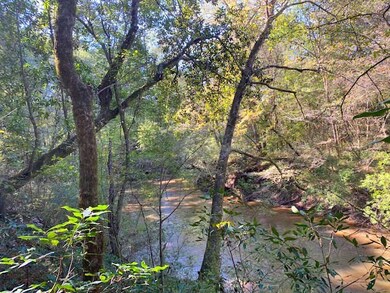 000 Kirklin Rd, Tylertown, MS 39667 - photo 3