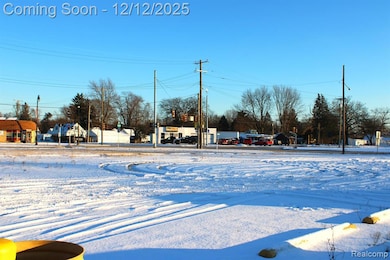 11630 Ozga St, Romulus, MI 48174 - photo 2