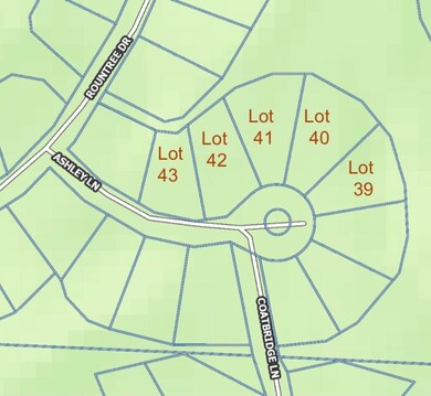 0 Ashley Ln, Bella Vista, AR 72715 - photo 2