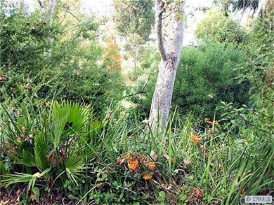 VIEW OF WILDERNESS AREA FROM WALK