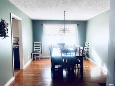 801 S Cottonwood St, Virginia, IL 62691 - photo 2