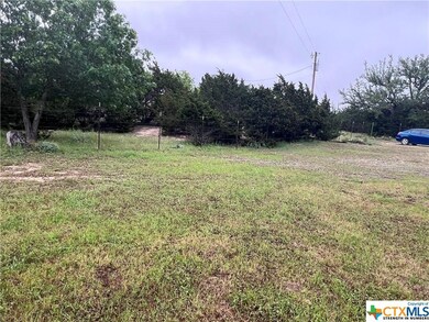 633 Apache St, Kempner, TX 76539 - photo 4