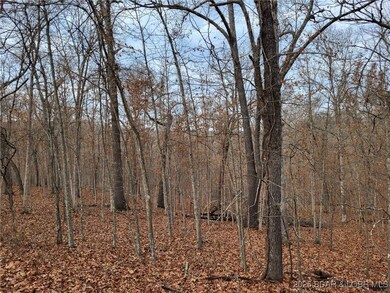 0 Dunn Dr unit Lot 1331, Edwards, MO 65326 - photo 5