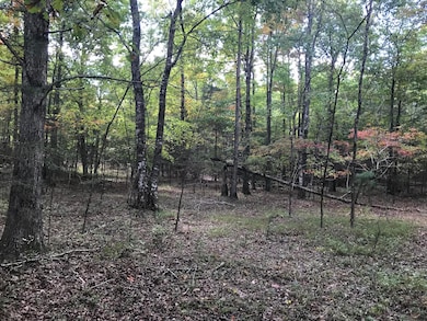 57 Deer Point Dr, Dunlap, TN 37327 - photo 5