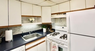 44 Broadlawn Park unit 22, Chestnut Hill, MA 02467 - photo 5