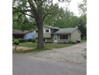 822 Dunny Ave, Sheffield Lake, OH 44054 - photo 6