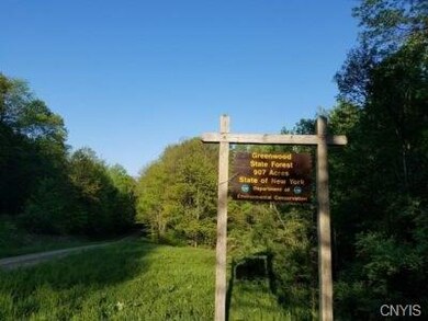 00 State Route 417, Greenwood, NY 14839 - photo 3