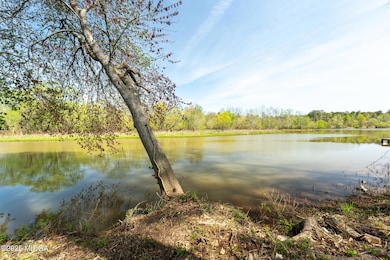 0 Henry Higgins Rd unit 179115, Jackson, GA 30233 - photo 5