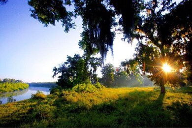 00 Laprada Trace - Tract 6, Fulshear, TX 77441 - photo 3