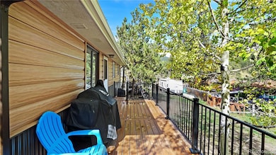 183 Bartimous Rd, Bailey, CO 80421 - photo 3