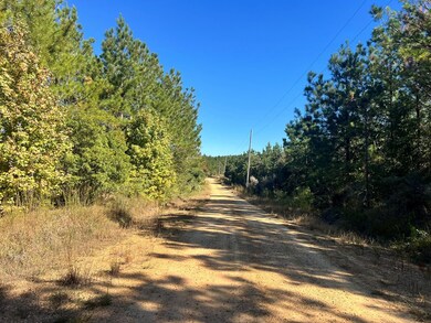 - Airport Ln, Crosby, MS 39633 - photo 6