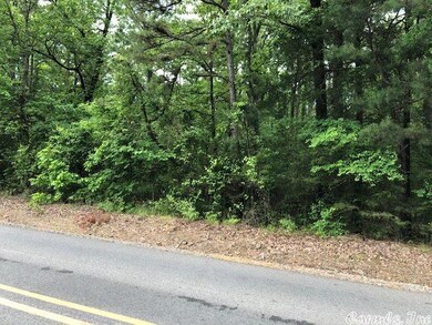 0 Hiram Rd, Heber Springs, AR 72543 - photo 3