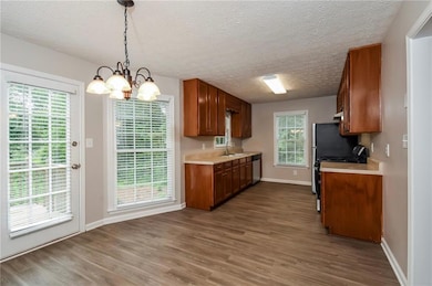 Kitchen featuring a sink, light countertops, dishwasher, dark wood finished floors, and a textured ceiling