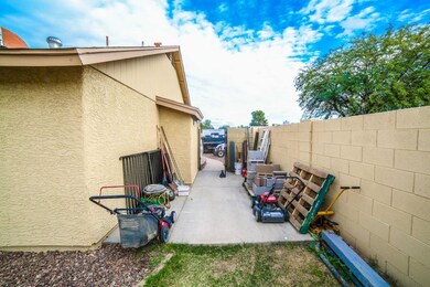 Cholla-5