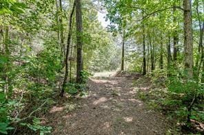 View of nature featuring a wooded view