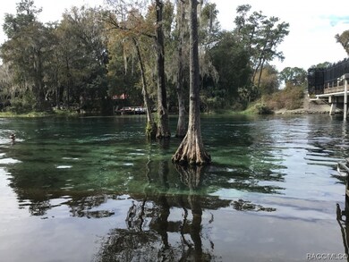 8833 N Spartan Dr, Citrus Springs, FL 34433 - photo 6