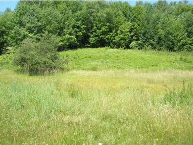1048 W Hill Rd, Northfield, VT 05663 - photo 5