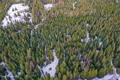 NNA E Tellum Ave, Athol, ID 83801 - photo 3